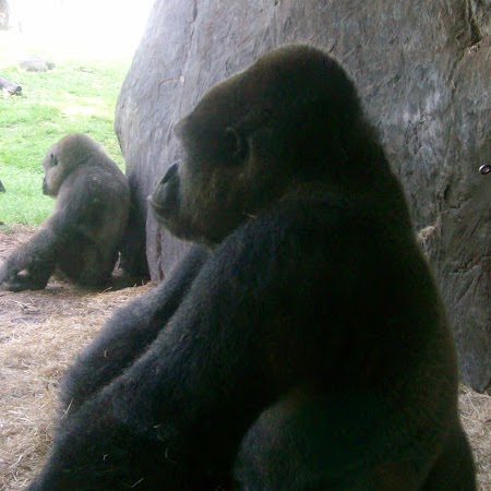 Danielle Foley Photo 20