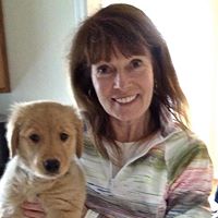 Sue Reardon Photo 30