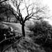 Hannah Hill Photo 40