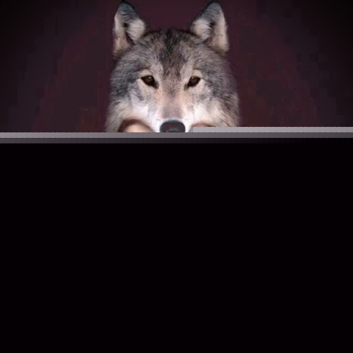 Thomas Hawk Photo 22