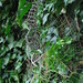 Linda Ashby Photo 16