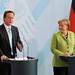 David Merkel Photo 14