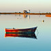 Dawn Ennis Photo 13