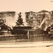 Mario Fontana Photo 33