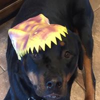 Susan Doolittle Photo 12