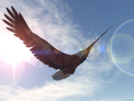 Donna Walters Photo 33