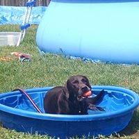 Kristine Nicholls Photo 7