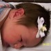 Elizabeth Arnold Photo 52
