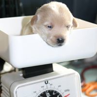 Mark Kremer Photo 28