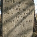 Ann Merritt Photo 38