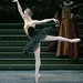 Julie Kent Photo 12