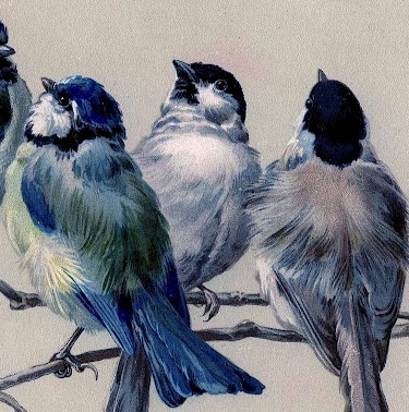 Rebecca Musser Photo 23