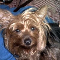 Tammy Kiser Photo 19