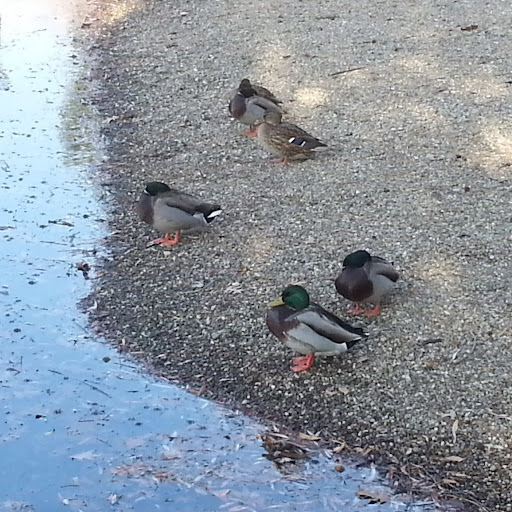 Alex Jordan Photo 27