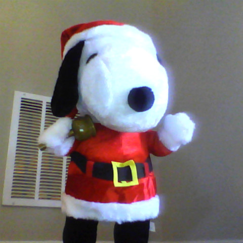 Connie Hughes Photo 21