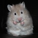 Belinda Brown Photo 5