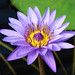 Marcia Moore Photo 32