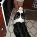 Kathleen Cook Photo 35