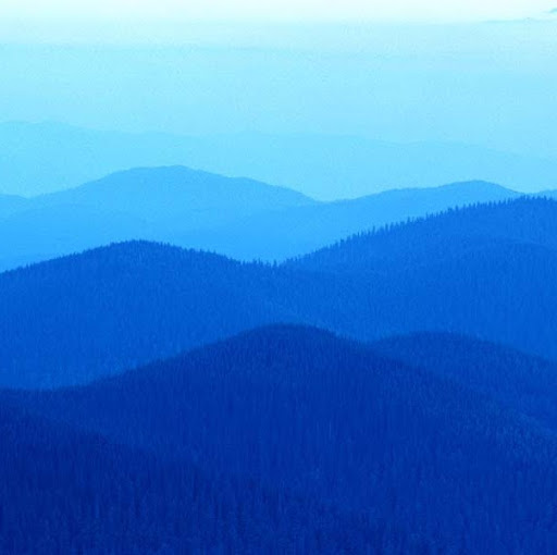 Crystal Young Photo 44