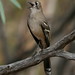 Robin Southern Photo 22