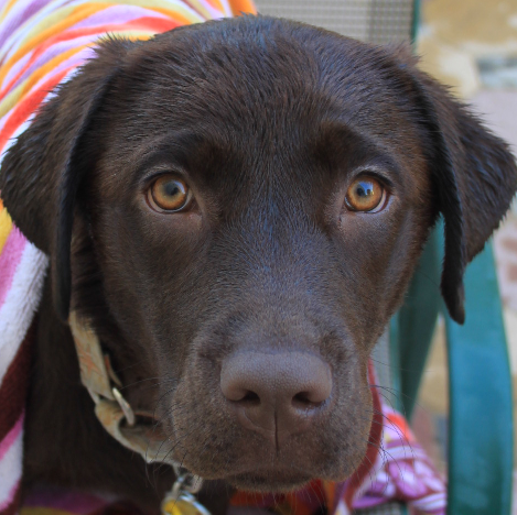 Donald Daugherty Photo 13