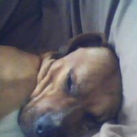 Carson Jenkins Photo 8