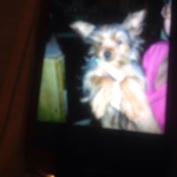 Bobbie Everett Photo 6