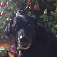 Julie Smart Photo 32