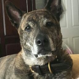 Jason Tuttle Photo 24