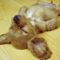 Tracie Hall Photo 19