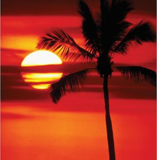 Karen Landis Photo 17