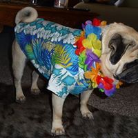 Connie Stafford Photo 24