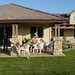 Peter Jenkins Photo 42