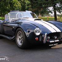 Robert Adamo Photo 20