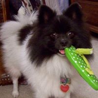 Alice Brock Photo 16