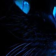 Sharyn Stone Photo 5