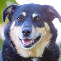 Susan Irvine Photo 12