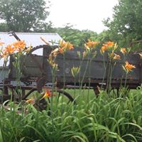 Debra Mills Photo 17