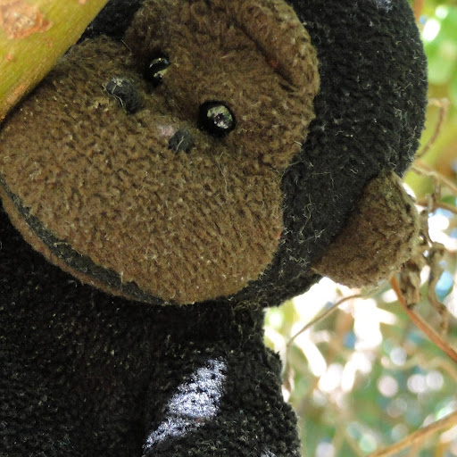 Rachel Dixon Photo 17