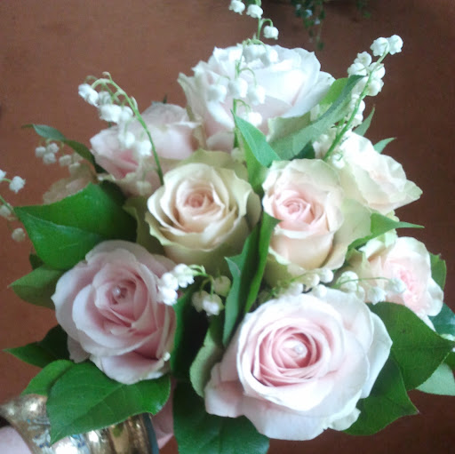 Helen Mcgrath Photo 4
