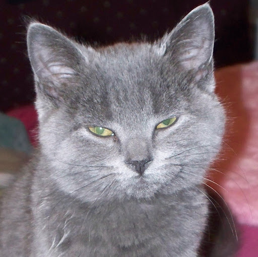 Meagan Wells Photo 34