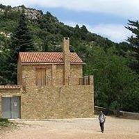 Robert Evan Photo 20