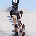 Jason Dunlap Photo 43