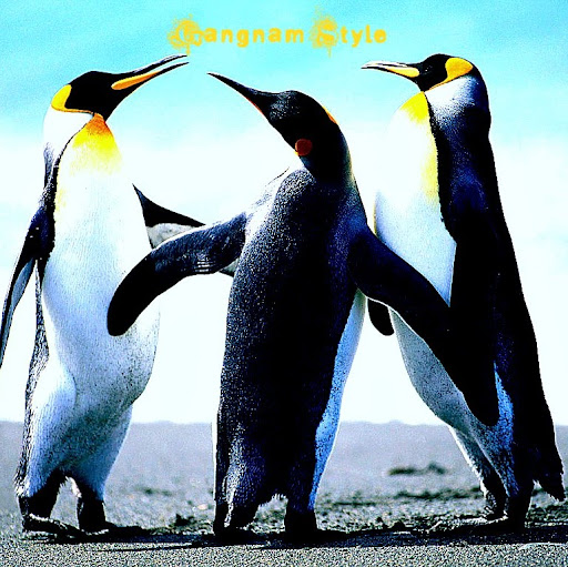 Paul Harding Photo 47 Paul Harding Photo 47