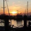 Marcia Takacs Photo 2