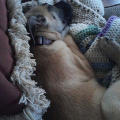 Sara Kirkpatrick Photo 32