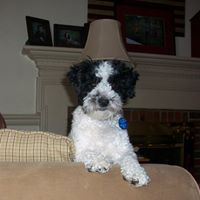 Judy Mclaughlin Photo 13