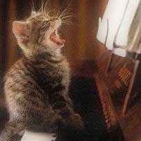 Carolyn Howard Photo 18