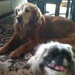 Colleen Pate Photo 5