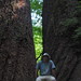 Doug Groves Photo 22